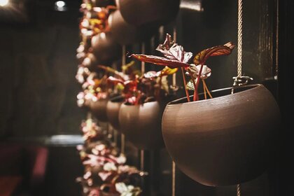 Restaurant and bar 45th Parallel